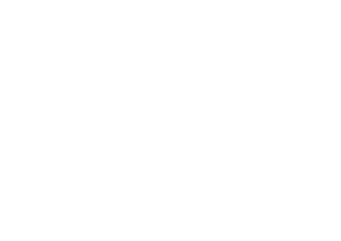 Row-Z Report